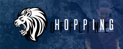Voicemod banner for @hopping