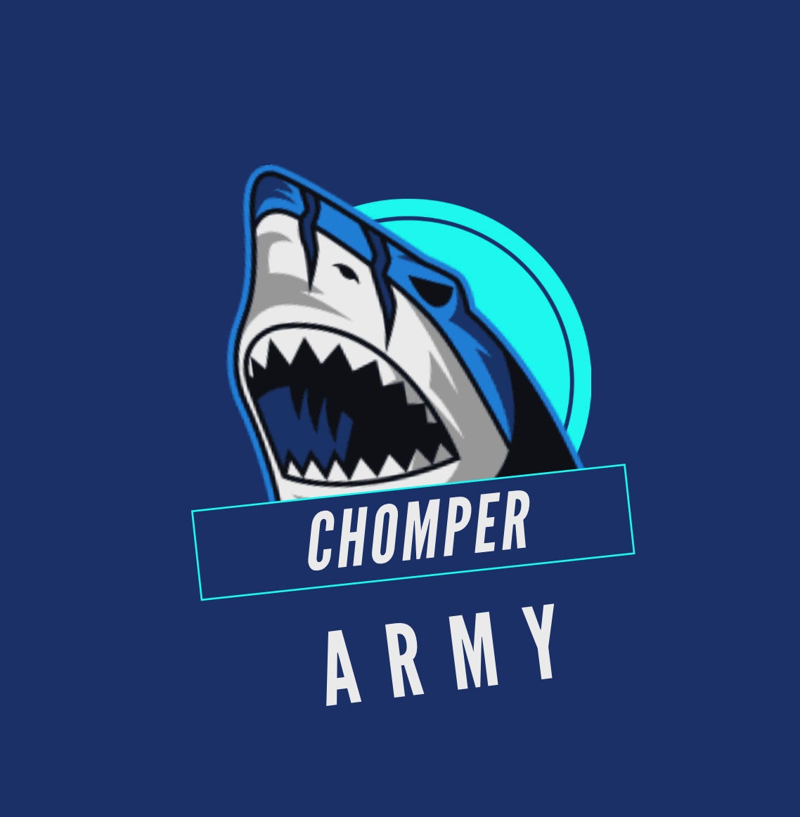 Voicemod banner for @hamburg